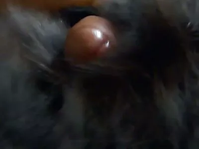 Bazı gizli amatör porno Islak Bizkit İçin Süpermarketi Atlamak